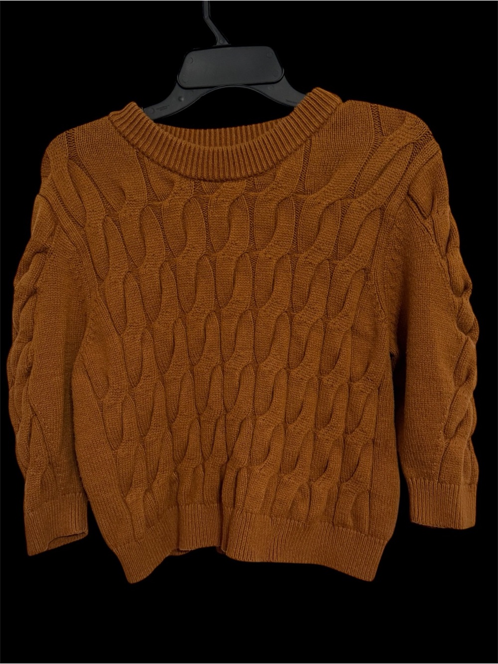 Treasure & Bond Cable Knit Crewneck Sweater - Rust Brown
